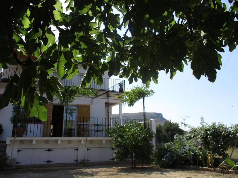 Вилла Casa La Higuera Чулилья Экстерьер фото