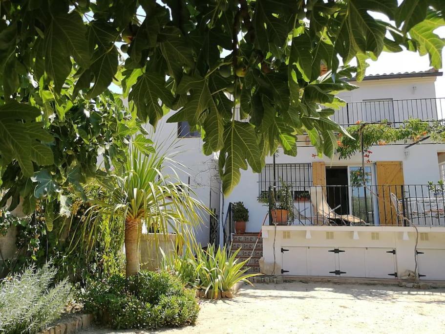 Вилла Casa La Higuera Чулилья Экстерьер фото